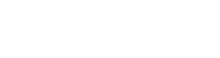 Auto Repair Pros Georgetown logo